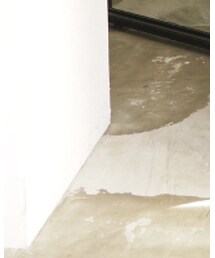 LIBERTAS | シューズ