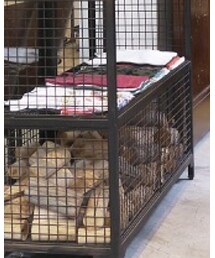 LIBERTAS | スニーカー