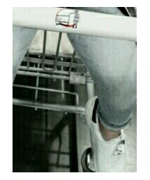 ZARA | その他パンツ