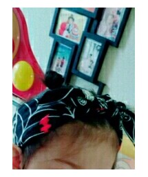 ヒステリックミニ | その他