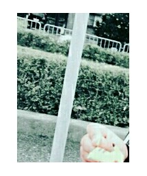 ピカチュウ | 雑貨/ホビー