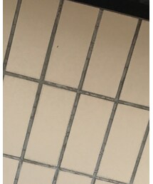 ZARA | シャツ/ブラウス