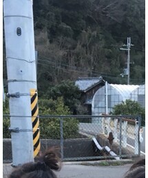 ZARA | ニット/セーター