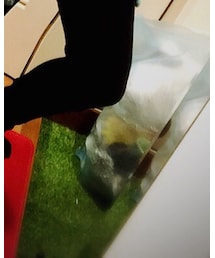 The trash | その他