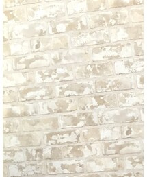 JEANASIS | Tシャツ/カットソー