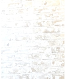 Champion | Tシャツ/カットソー