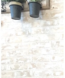 RAGEBLUE | シャツ/ブラウス