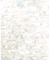 HANES | Tシャツ/カットソー