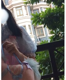 Angelic Pretty | シャツ/ブラウス