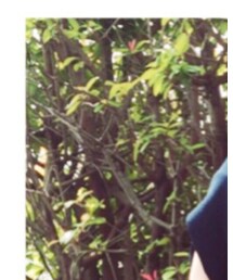 Handmade | ヘアバンド