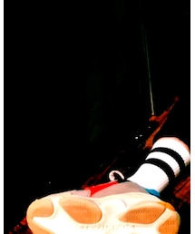 halo tokyo | ソックス/靴下