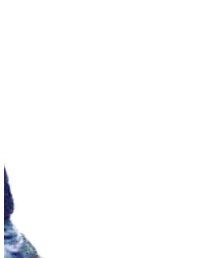 Daniel Wellington | アナログ腕時計