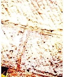 UNIQLO | ソックス/靴下