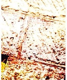 Dr. Martens | ブーツ