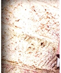 UNIQLO | タンクトップ