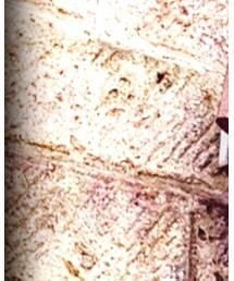 UNIQLO | デニムパンツ