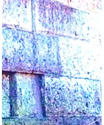 Instagram.com/kamy.sigure | その他