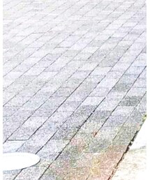 Daniel Wellington | アナログ腕時計