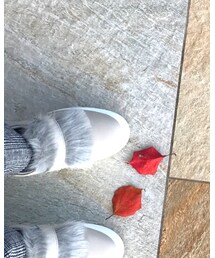 URBAN RESEARCH DOORS WOMENS | スニーカー