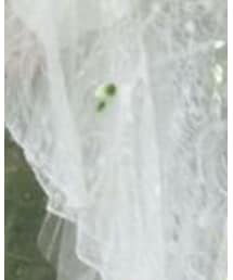 Sherri hill | ドレス