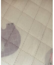 西松屋 | 雑貨/ホビー