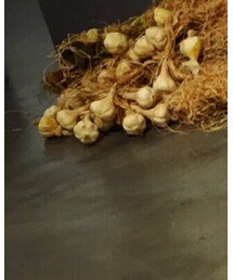 Love World | Tシャツ/カットソー