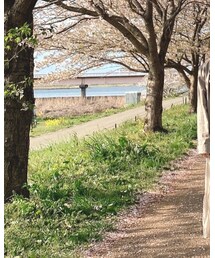 CELINE | ショルダーバッグ