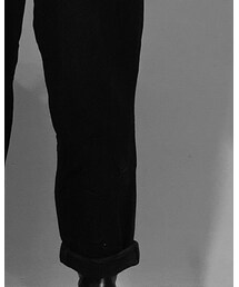 The Viridi-anne | その他パンツ