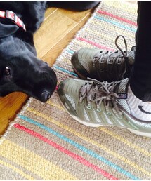 patagonia | スニーカー