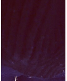 1％ | ニット/セーター