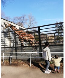 🦒 | その他雑貨