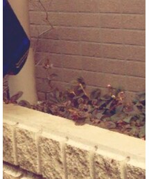 L.L.Bean | トートバッグ