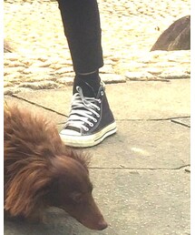 CONVERSE | スニーカー