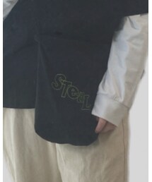 STeaL meaning | バッグ