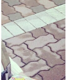 MARKEY'S | Tシャツ/カットソー