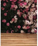 ZARA(ザラ)の「ワンピース/ドレス(ジャンパースカート)」