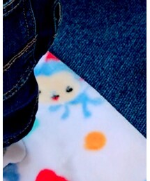 コストコ | ブランケット