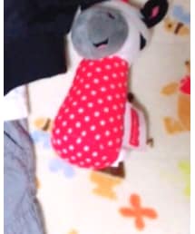 コストコ | ベビーギフト