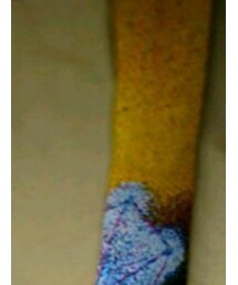 CIAOPANIC | Tシャツ/カットソー