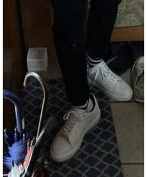 Tallshoes | スニーカー