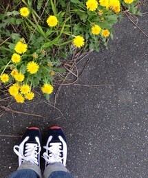 PATRICK | スニーカー