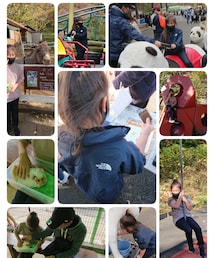 ☆ | その他