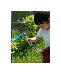 クーリア | バックパック/リュック