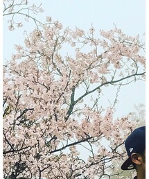 NEW ERA | キャップ