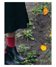 靴下屋 | ソックス/靴下