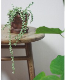 URBAN RESEARCH | インテリア