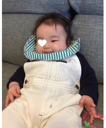 えりまきとかげ | その他