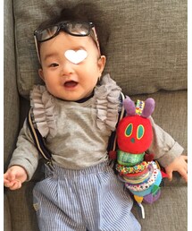 安定の子分 | その他