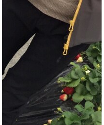 wjk | その他パンツ