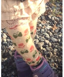 Petit jam | タイツ/ストッキング